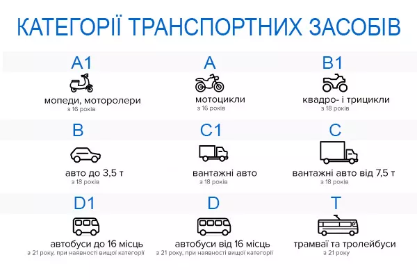 Термін дії водійських посвідчень в Україні: актуальні норми 2026 року